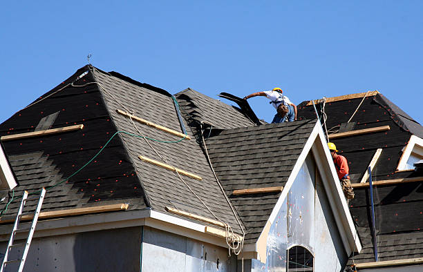 Best Roof Gutter Cleaning  in Harrisburg, IL